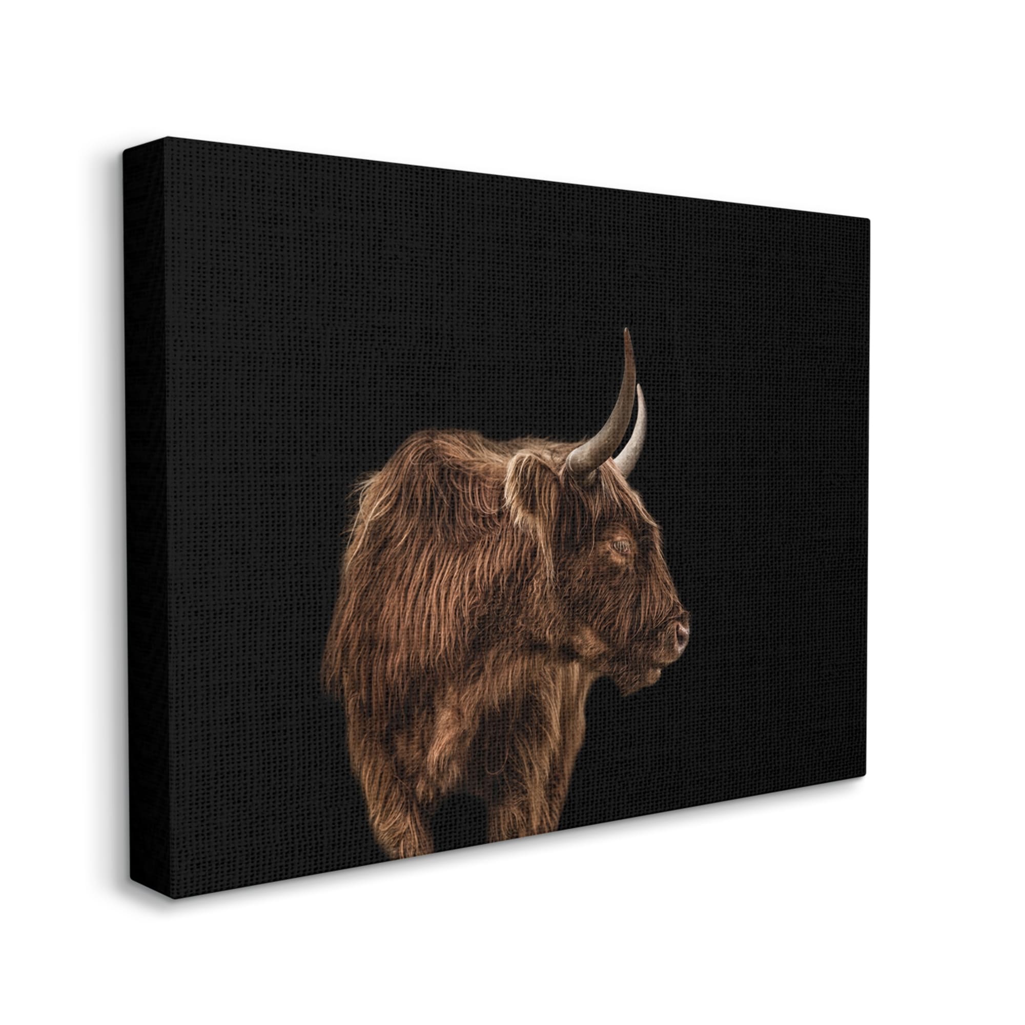 Stupell Industries Cattle Side Portrait Minimal Modern Farm Animals & Insects Photography Gallery Wrapped Canvas Print Wall Art, 30 x 40