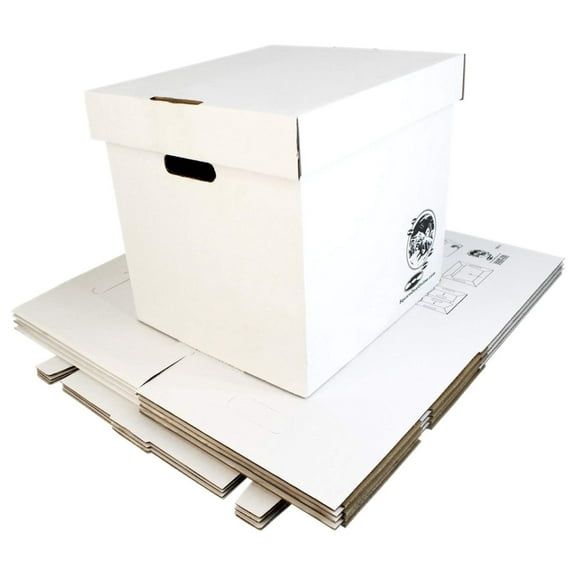 12" Vinyl Record Storage Box - Sturdy Cardboard with Removable Lid - Holds up to 90 Records or Laser Discs - Set of 5 Boxes #12BC13