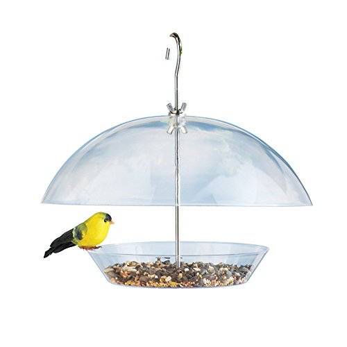 Hanging Squirrel Proof Bird Feeder