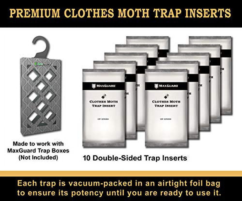 MAXguard MaxGuard Clothes Moth Traps (12+2 Free Traps) Extra Strength  Pheromones