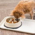 thumbnail image 2 of IRIS 2 Cups Slow Feeder Dog Bowl, Anti-Choking, Anti-Slip, Interactive Puzzle Toy, Healthy Digestion, Long snouted, 2 of 4