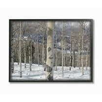 Stupell Winter Birches Photography Framed Giclee Texture Art 11 x 14
