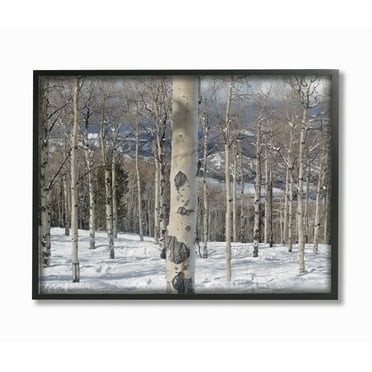 Stupell Winter Birches Photography Framed Giclee Texture Art 11 x 14