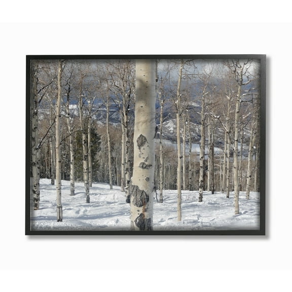 Stupell Winter Birches Photography Framed Giclee Texture Art 11 x 14