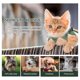 thumbnail image 2 of 1 unid mascota navidad bufanda creativo perro gato bufanda festival mascota accesorio accesorio, 2 of 6