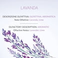thumbnail image 2 of Erbario Toscano Lavender Diffuser Refill 500ml, All Natural, 2 of 5
