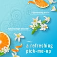thumbnail image 4 of Febreze Plug In Air Freshener, Odor-Fighting Scented Oil Refill, Refresh & Energize, 2 Refill, 4 of 12