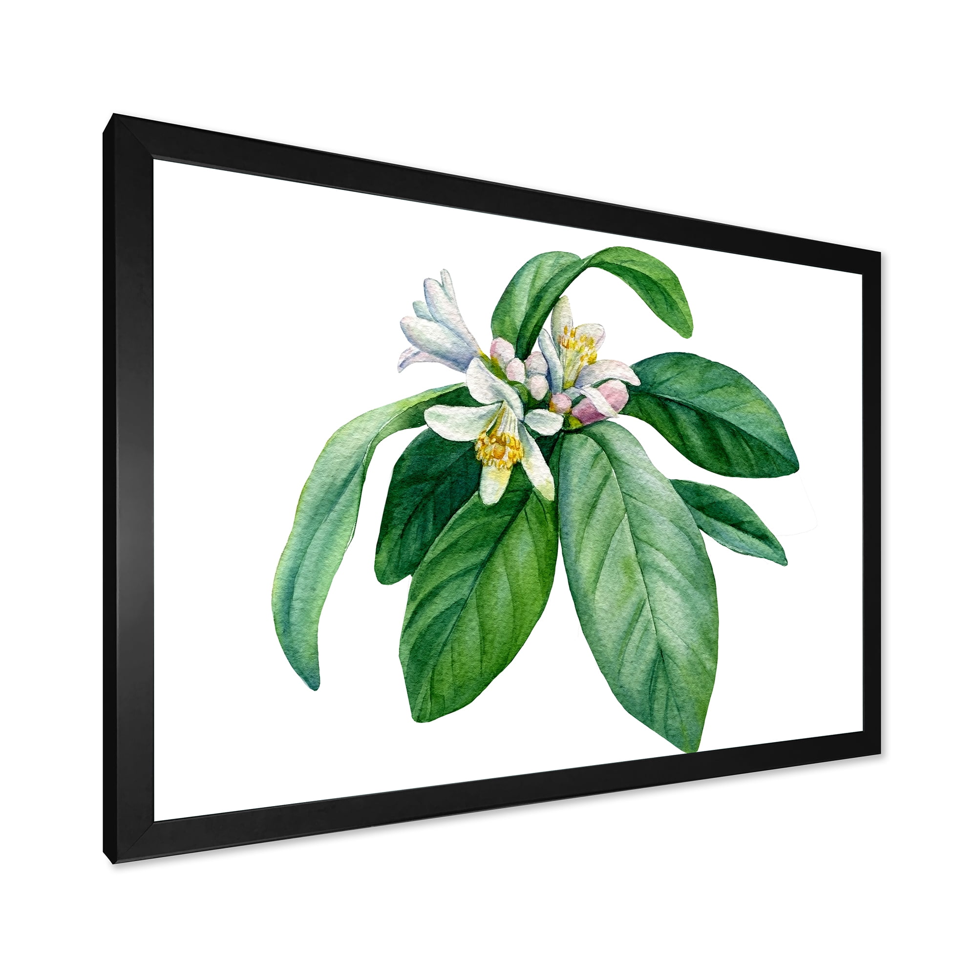 Flowering Mandarin With Branch 20 in x 12 in Framed Painting Canvas Art Print, by Designart