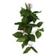 thumbnail image 2 of Planta de simulación de reptiles paisajismo decorativo vid falsa para caja de selva tropical de reptilesNFF‑84 hoja de estrella verde, 2 of 5