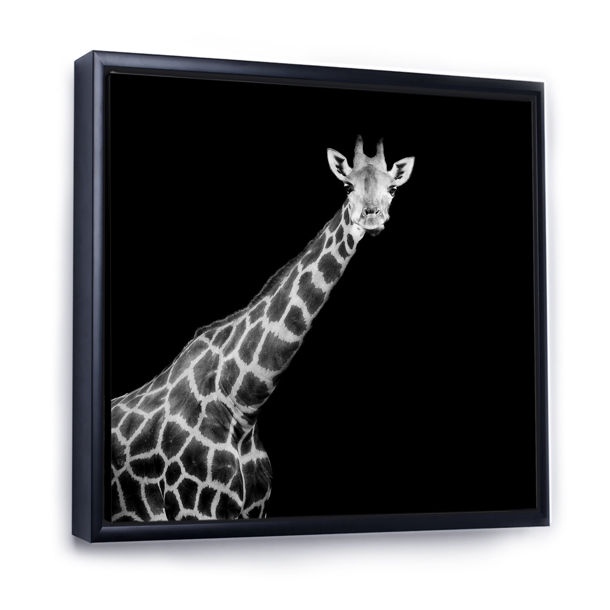 Designart 'Close Up Portrait Of A Giraffe On Black I' Farmhouse Framed Canvas Wall Art Print