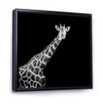 thumbnail image 3 of Designart 'Close Up Portrait Of A Giraffe On Black I' Farmhouse Framed Canvas Wall Art Print, 3 of 5