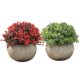 thumbnail image 1 of 2 uds planta Artificial en maceta bola de césped de plástico decoración creativa maceta de flores falsas decoración de paisaje plantas verdes, 1 of 5
