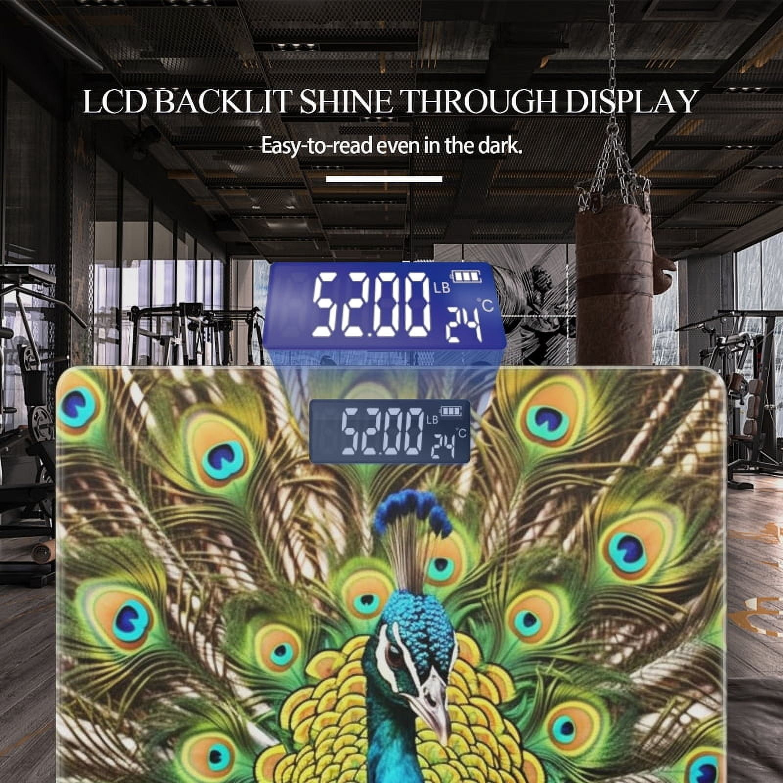 Bathroom Scale, Highly Accurate Digital Body Scale,Precisely Measures Weight up to 400 lbs-Majestic Peacock Displaying Vibrant Plumage With Feathers