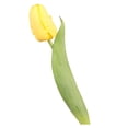 thumbnail image 3 of Opvise Lifelike 37cm Artificial Tulip Stems - Faux Silk Flowers for Home Decor, Weddings, Spring Parties, Reusable Vibrant Floral Arrangements Yellow, 3 of 8