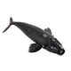 thumbnail image 3 of Colección de Figuras de Acción de Ballenas, Acuario Y Vida Marina para Niños Pequeños., 3 of 9