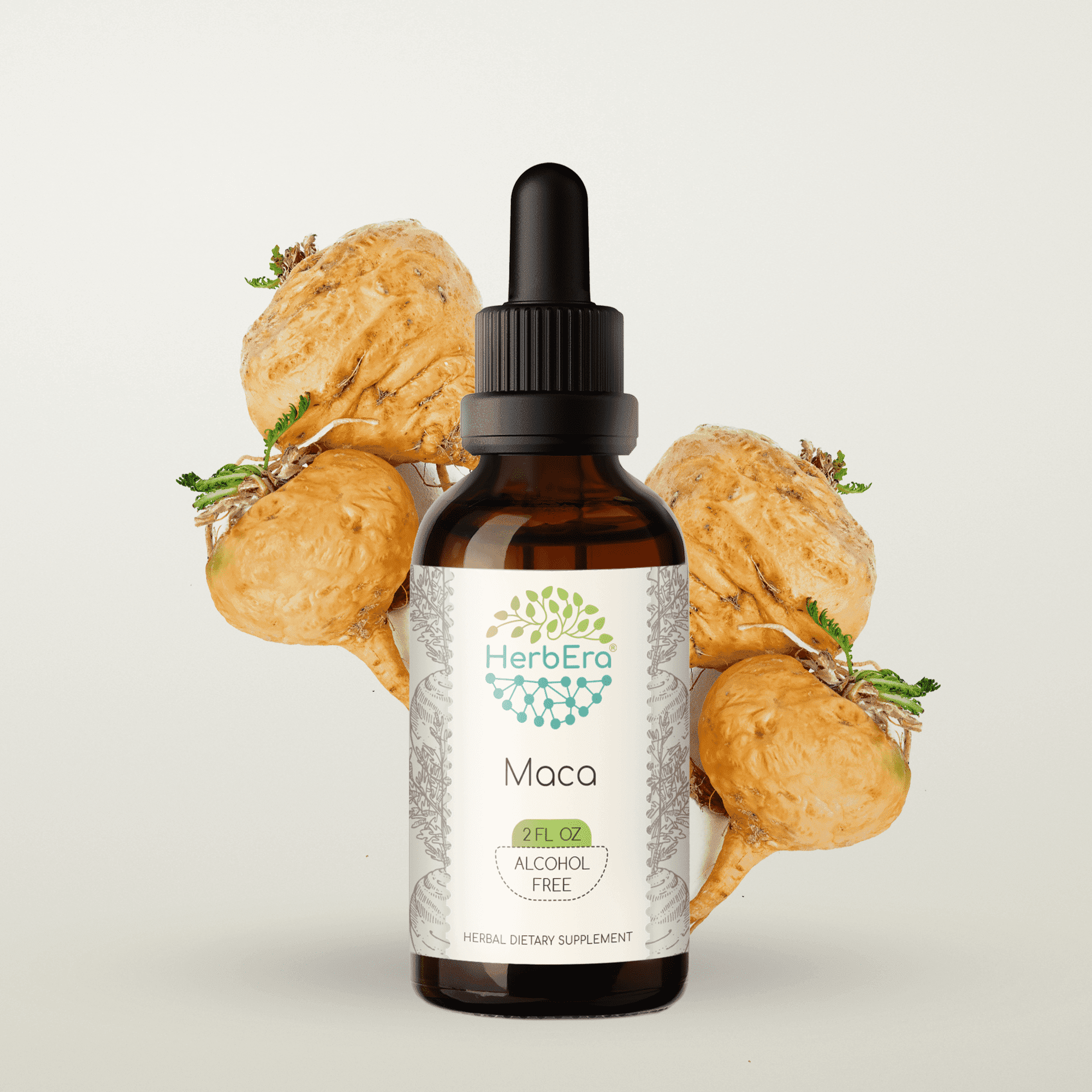 HerbEra Maca Tincture, Herbal Dietary Supplement for Energy Support, Maca (Lepidium meyenii) Dried Root Extract, Natural, Alcohol-Free, Drops 2 oz
