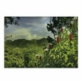 thumbnail image 1 of Forest Cutting Board, Rural Scenery Costa Rica Countryside Greenery Tropic Accents Botanical, Decorative Tempered Glass Cutting and Serving Board, Small Size, Green Red Violet Blue, by Ambesonne, 1 of 1