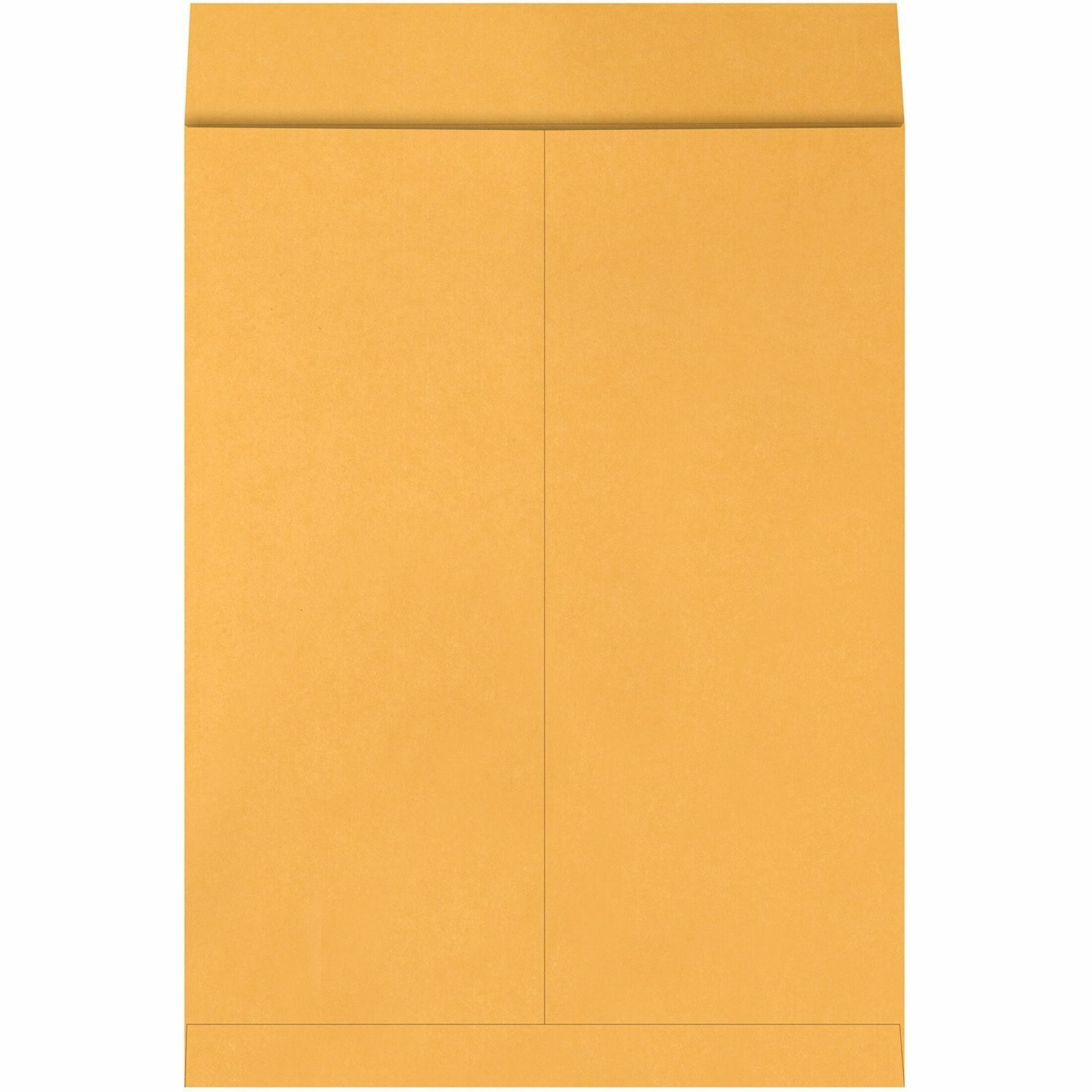 Quality Park Jumbo Kraft Envelopes - Catalog - 15"W x 20" L- 28 lb - Kraft