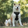 thumbnail image 2 of Perro gato chaleco arnés correas chalecos para entrenamiento de deportes al aire libre aventura Negro Zulema Arnés para mascotas, 2 of 4