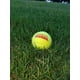 thumbnail image 3 of Pelota de Tenis Tourna sin Presión 60 Unidades, 3 of 7