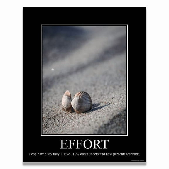 Effort Demotivational Poster Snarky Ironic Funny Sarcastic Office Wall Decor Art Print