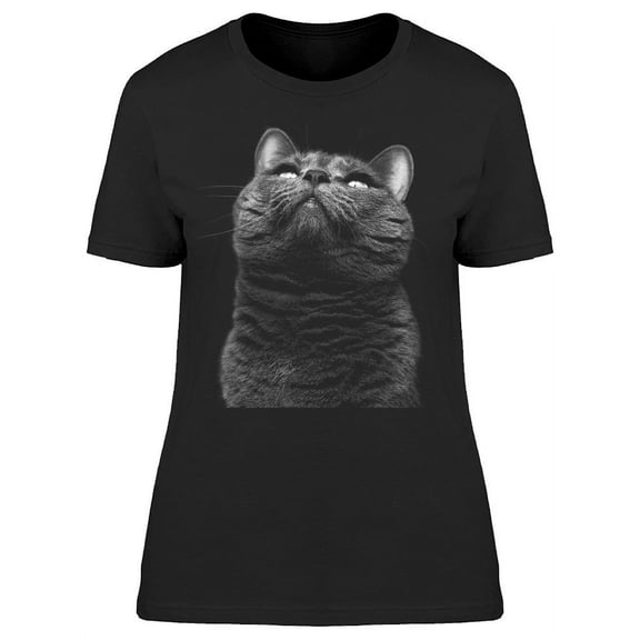 Charming Gray Cat Looking Up T-Shirt Women -Image by Shutterstock, Female XX-Large