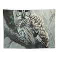 thumbnail image 5 of Orinice Owl Tree Branch Forest Tapestry Wall Hanging Unique Style Graphic Tapestries Home Wall Decor Art for Living Room Bedroom Apartment Farmhouse Dorm Decoration 40x30inch, 5 of 6