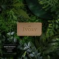 thumbnail image 1 of Ivory Gentle Exfoliating Bar Soap Notes of Warm Vanilla + Oat Milk 720G, 1 of 3