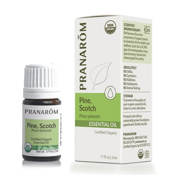 Scotch Pine Essential Oil