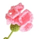 thumbnail image 5 of Clavel Ganchillo Punto Terminado para Cumpleaños Boda (color Piel), 5 of 9