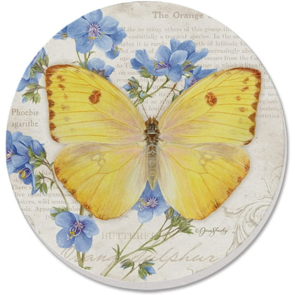 Absorbent Stone Beverage Coasters - Set of 4 - Orange Sulphur