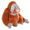 thumbnail image 2 of Peluche de peluche Wild Republic Orangutan Cuddlekins de 30 cm, 2 of 5