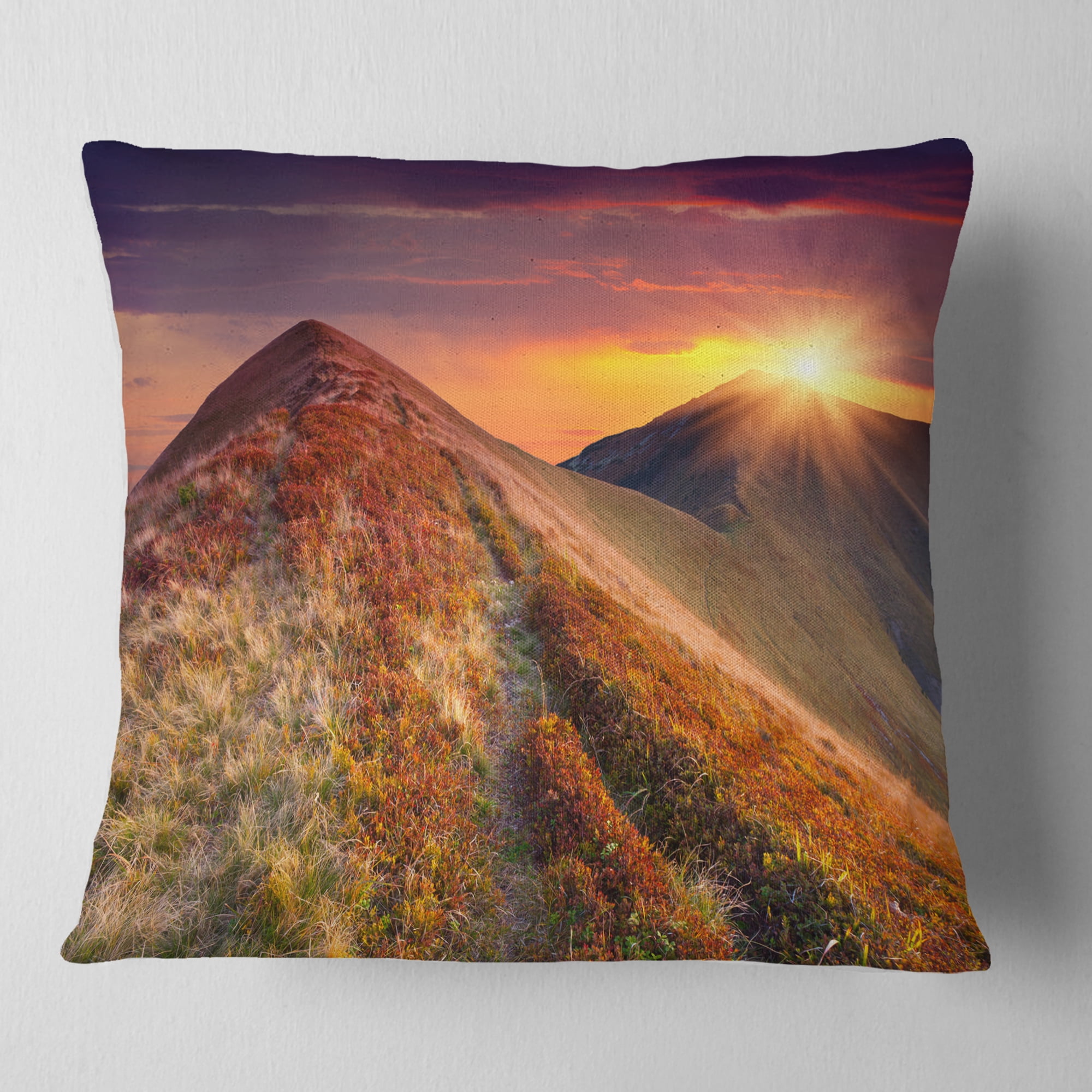 Designart Autumn Hills with Colorful Grass - Landscape Photography Throw Pillow - 18x18