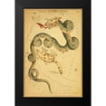 thumbnail image 2 of Aspin, Jehoshaphat 13x18 Black Modern Framed Museum Art Print Titled - Draco and Ursa Minor, 1825, 2 of 5
