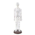 thumbnail image 2 of Acupuncture Model Human Body Model Full Body Acupuncture Practice Tool With Base Acupuncture Model Human Body Acupuncture Model Acupuncture Model With Base Full Body Acupuncture, 2 of 7