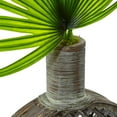 thumbnail image 3 of Nearly Natural Fan Palm in Open Weave Vase, 3 of 3
