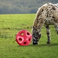 thumbnail image 6 of Funny 15.7" Horse Treat Ball, Horse Toys Snack Ball Carrot Feeding Toy Ball Carrot Feeder Toy feed Ball Hanging for Horse, 6 of 10