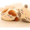 thumbnail image 5 of Cute Cat Pillow Kitten Plush Stuffed Animal Pet Cat Soft Cat Body Plush Pillow (Brown, 40cm), 5 of 5