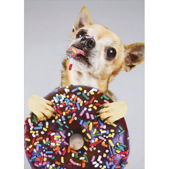Designer Greetings Dog Licks Sprinkles Off Big Donut Funny / Humorous Feminine Birthday Card for Her : Woman : Women