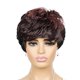thumbnail image 2 of Xihbxyly Peluca Corta, Decoloración y Teñido de Flequillo, Cabello Corto y Rizado, 2 of 3