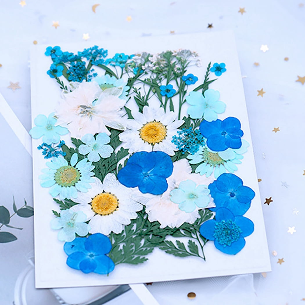 Pressed Blue Flower Set 10pcs, Dried Pressed Flower Mix, White Flower Set, Dried  Flowers for Crafts and Invitations, Card Making Flowers 