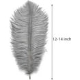 thumbnail image 3 of Natural Gray Ostrich Feathers - 24pcs 12-14inch Big Feathers for Wedding Party Centerpieces Home Decor, 3 of 14