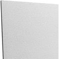 Arena 2x2 Acoustical Ceiling Tile Box of 10 FireRated White