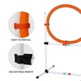thumbnail image 6 of Pefilos Agility Course Backyard Set, 3 Pack Indoor and Outdoor Agility Training Equipment for Dogs, Weave Poles for Dog Obstacle Training, White, 6 of 9