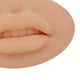 thumbnail image 3 of 5D Lips Practice Silicone Skin Eyebrow Lip Training para Piercing Practice Color medio claro Macarena Práctica de labios, 3 of 8