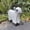 white1, variant on Halloween Metal Ghost Cow Statue, Mental Ghost Cow Statue Halloween Decoration, Ghost Cow Decorative Prop, Halloween Cow Decorations Outdoor Sculpture Statue Decoration