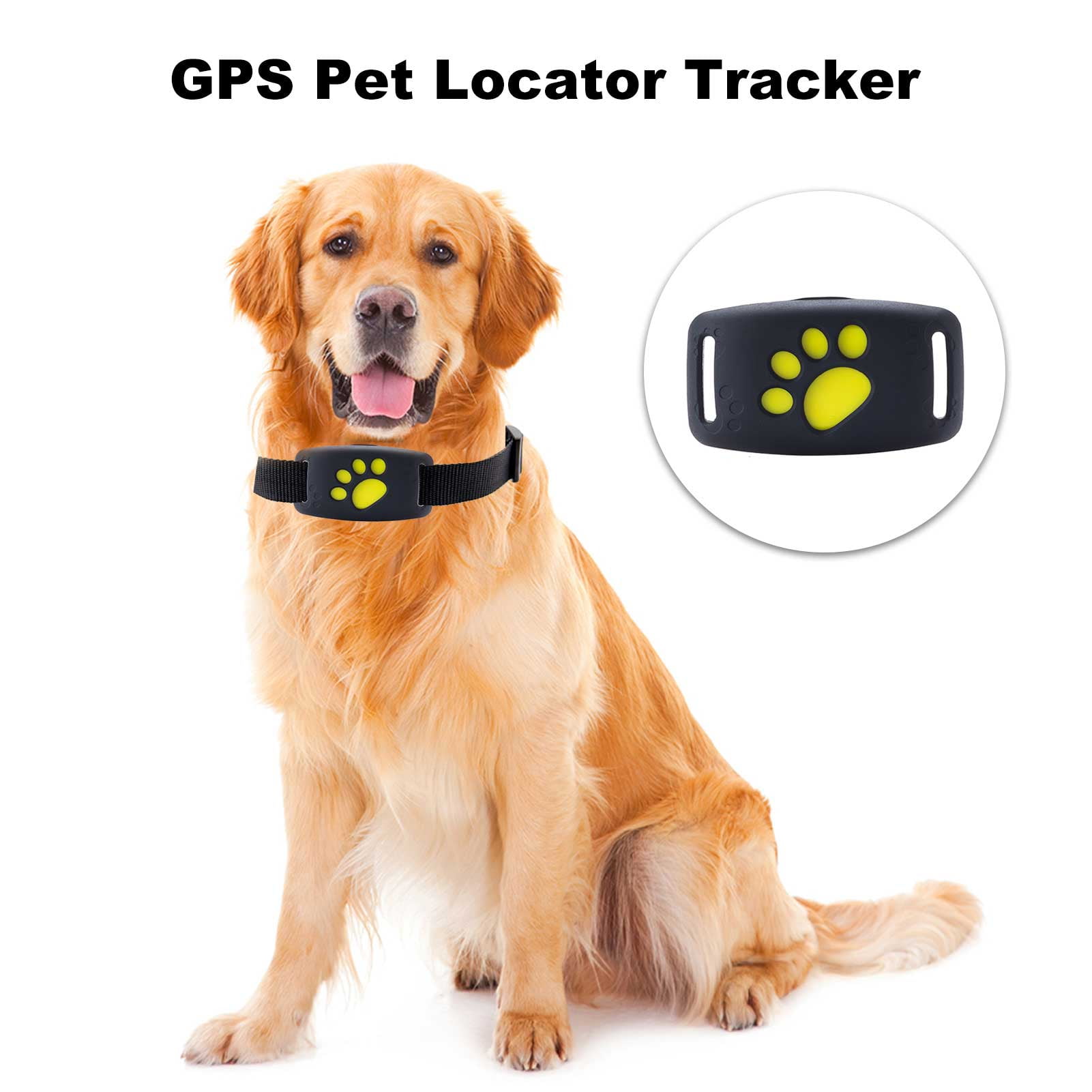 Tomshine Pet Locator Pet Lost Device Waterproof Dog Collar With Wireless Lost Sensor Device Lbs Positioning Black