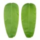 thumbnail image 2 of Mantel individual de hoja artificial hoja de plátano artificial reutilizable aspecto refrescante sin doblar para decoración de fiesta ANGGREK Otros, 2 of 6