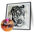 thumbnail image 1 of Cuadros Decorativos Full Drill Tiger 5D Diamond DIY Kit de pintura artesanal Decoración para el hogar Sywqhk Nuevos Originales, 1 of 1