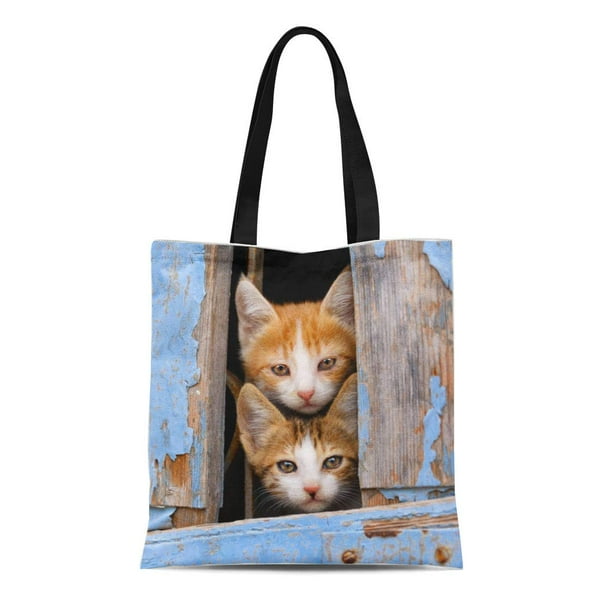 LADDKE Canvas Tote Bag Cat Cute Kittens in Vintage Window LADDKE Canvas Tote Bag Cat Cute Kittens in Vintage Window